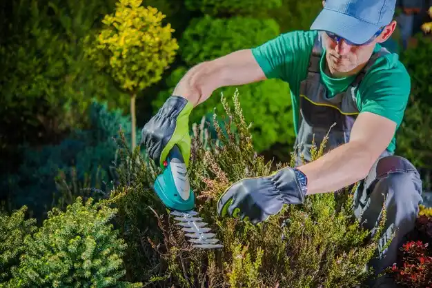 landscaping services Grand Island